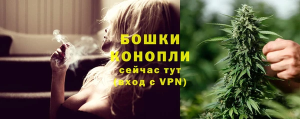 шишки Балахна