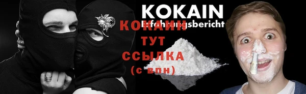 шишки Балахна