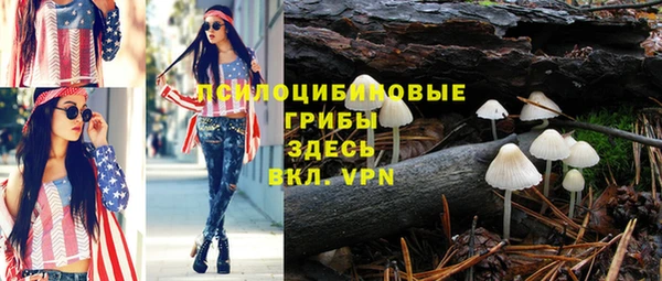 шишки Балахна