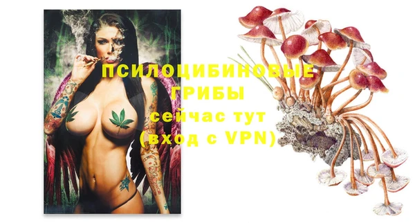 шишки Балахна